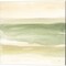 Green Water by Chris Paschke 14" x 14" Canvas Wall Art (Set of 2)